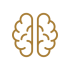 cerebro